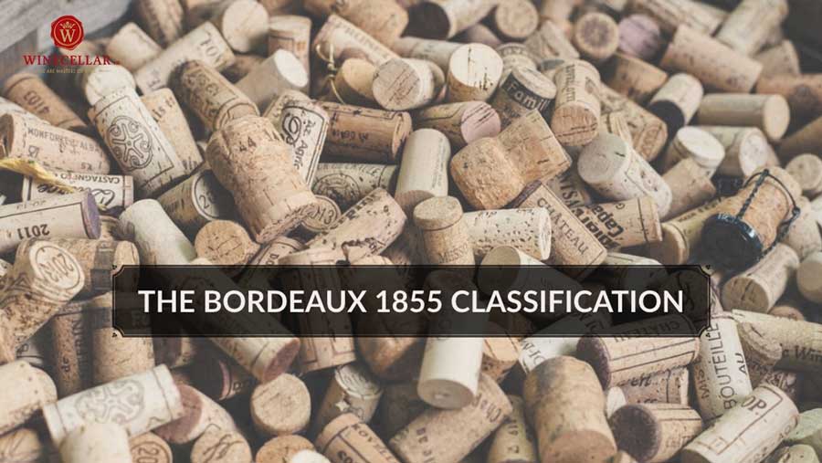 Grand Cru Classe 1855 – phân hạng đẳng cấp minh chứng cho chất lượng rượu vang Saint Julien