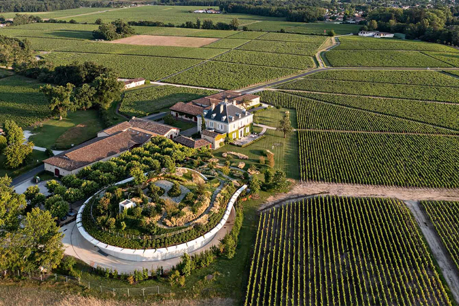 Château Haut-Bailly – Điền trang danh tiếng với hơn ba thế kỷ lịch sử rượu vang tại Bordeaux.