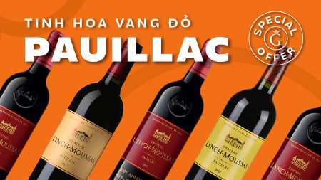 Trải Nghiệm Vị Vang Grand Cru Classé Cao Cấp Với Ưu Đãi Giá Đặc Biệt