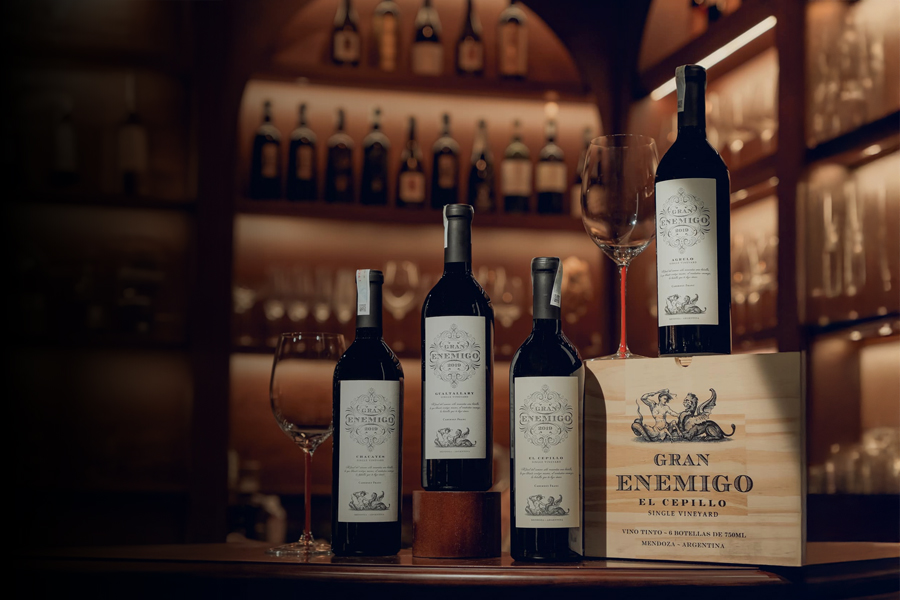 Gran Enemigo Gualtallary Single Vineyard Cabernet Franc 2019 – Vang đỏ Argentina giá tốt hàng đầu