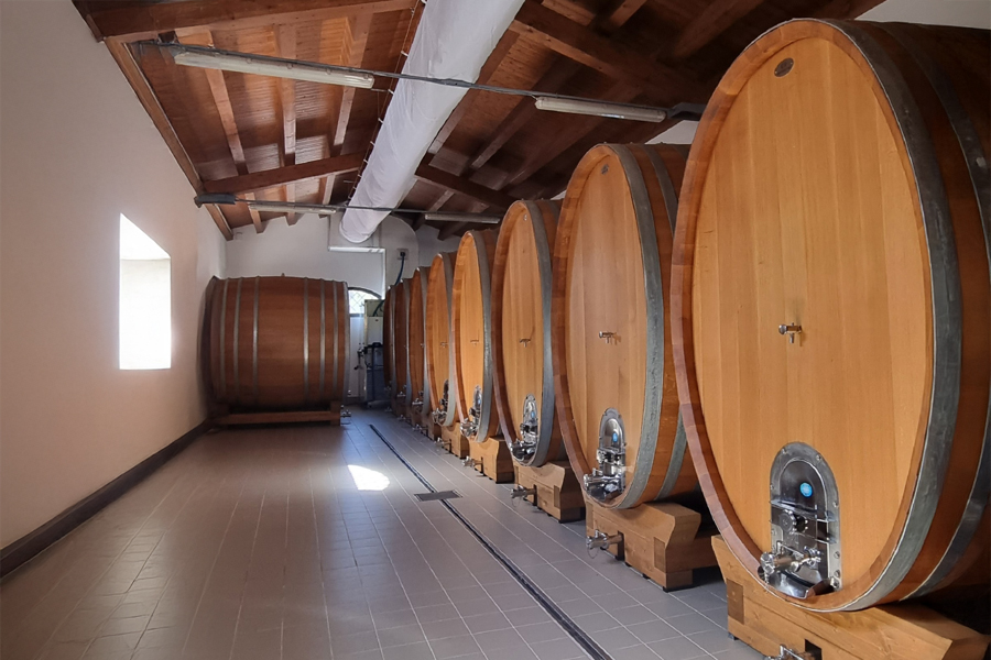 Tenuta delle Terre Nere sử dụng nấm men tự nhiên để ủ rượu vang