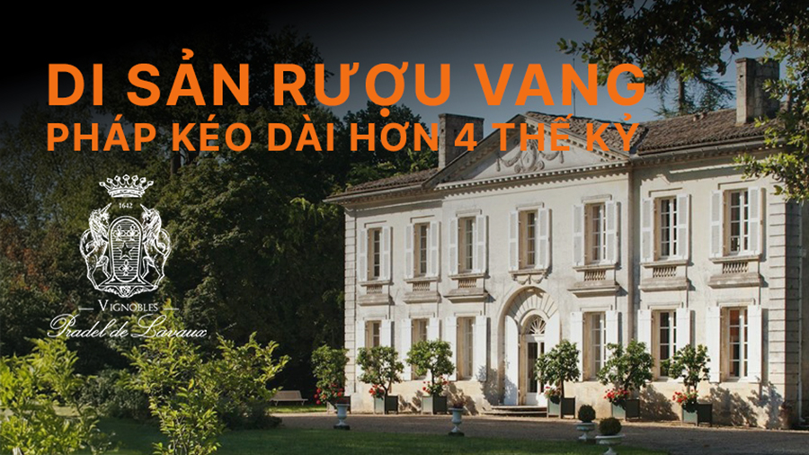 Vignobles Pradel de Lavaux - Di sản rượu vang Pháp kéo dài hơn 4 thế kỷ