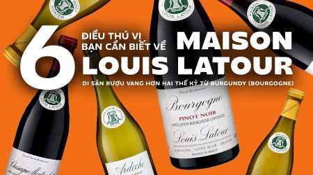 6 Điều Thú Vị Bạn Cần Biết Về Maison Louis Latour - Di Sản Rượu Vang Hơn Hai Thế Kỷ Từ Bourgogne (Burgundy)