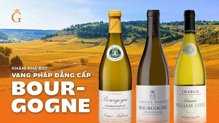 Khám phá BST Vang Pháp Đẳng Cấp Từ Vùng Bourgogne