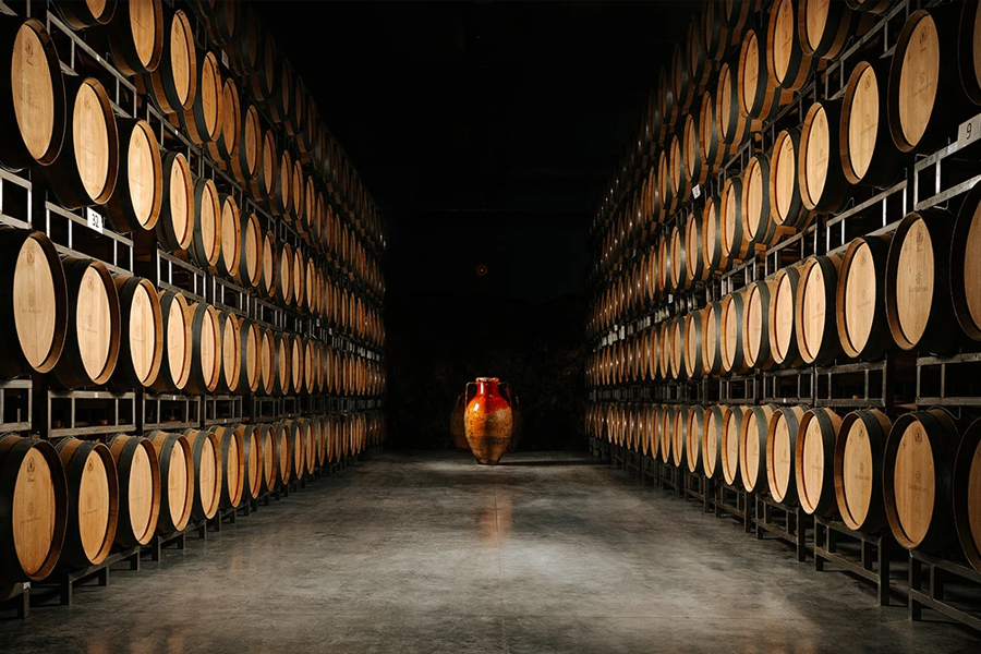 Hầm ủ rượu tại Cantine San Marzano – Nơi tạo nên hương vị hảo hạng Collezione Cinquanta Vino Rosso d’Italia