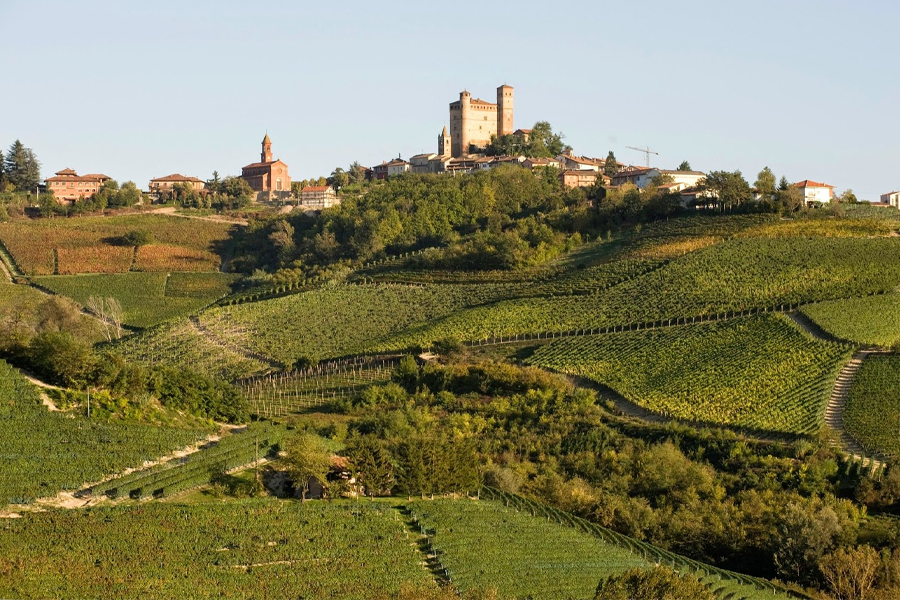 Vietti sở hữu những vườn nho có thổ nhưỡng xuất sắc hàng đầu tại Langhe, Ý