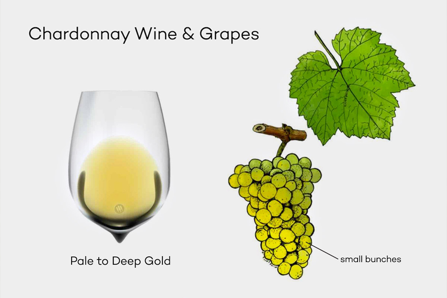 Rượu vang Chardonnay thường có màu vàng trong trẻo đến sắc vàng đậm hổ phách
