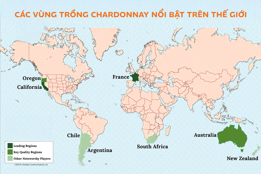 Các vùng trồng Chardonnay nổi bật trên thế giới