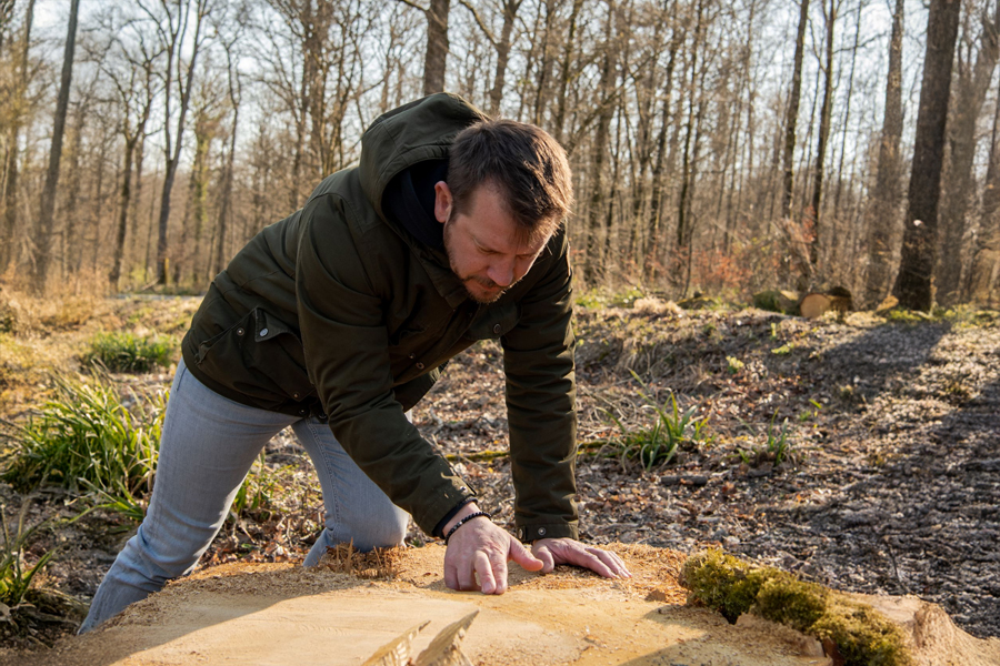 Giám đốc điều hành và trưởng hầm rượu của Henri Giraud, ông Sebastien Le Golvet, đang chọn cây sồi trong Rừng Argonne để làm thùng ủ rượu cho mình. Ảnh: Henri Giraud