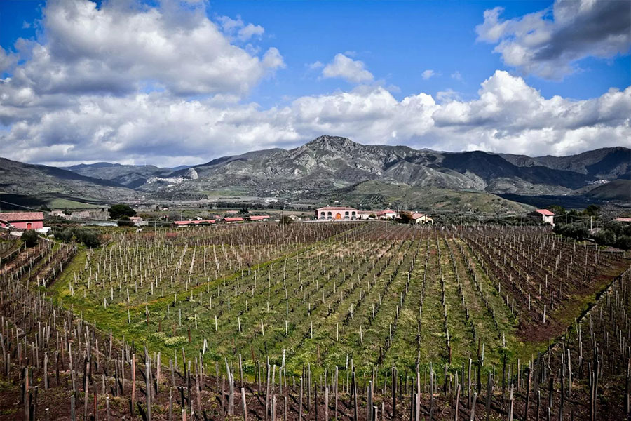 Thổ nhưỡng núi lửa Etna độc đáo - Được ví như "Bourgogne của nước Ý"