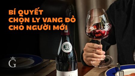 Bạn Mới "Chơi" Vang? Bí Quyết Cách Chọn Ly Vang Đỏ Đúng Chuẩn Chuyên Gia