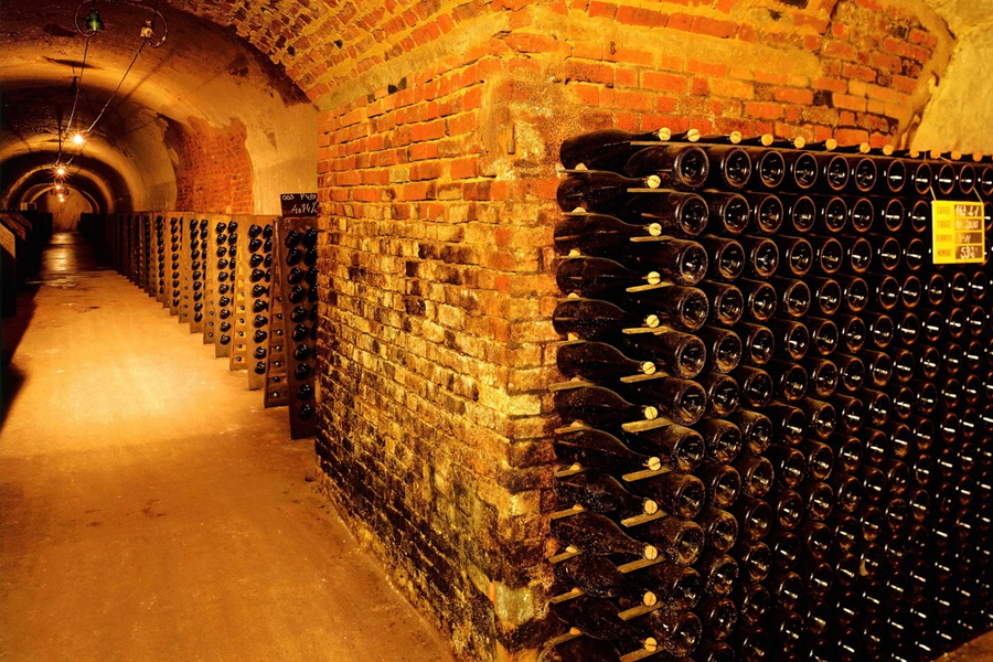 Hầm rượu đá phấn tạo nên những chai Champagne Alfred Gratien trứ danh