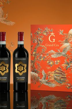 Hộp Quà Tặng Tết Thuận Buồm Xuôi Gió Collefrisio Viquadra (2 chai)