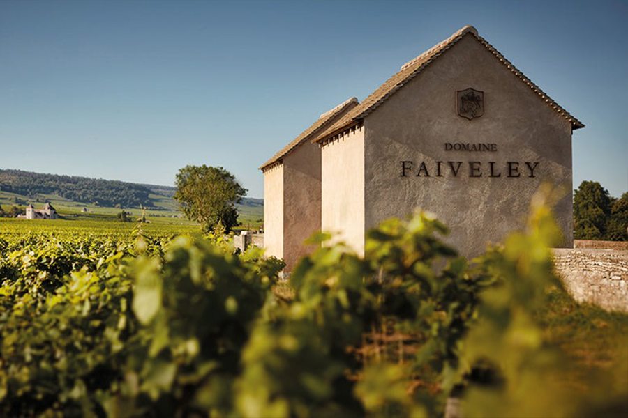 Domaine Faiveley là một trong những tên tuổi sáng giá của vùng rượu Bourgogne, Pháp