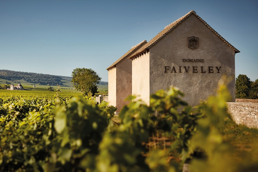 Domaine Faiveley - Thương hiệu vang Pháp danh giá hàng đầu