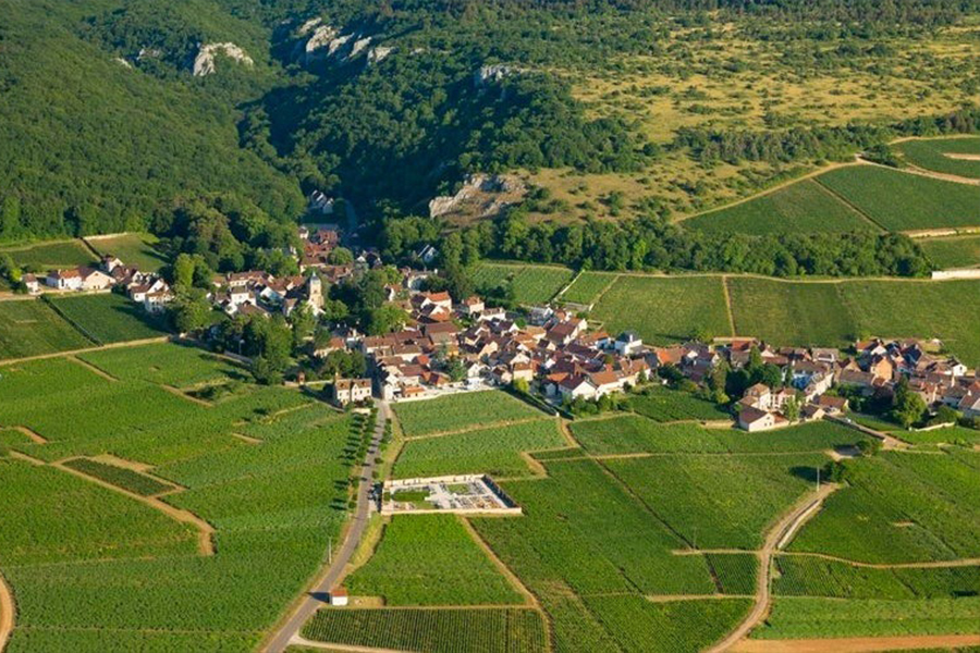 Les Fuées - Vườn nho Premier Cru chất lượng