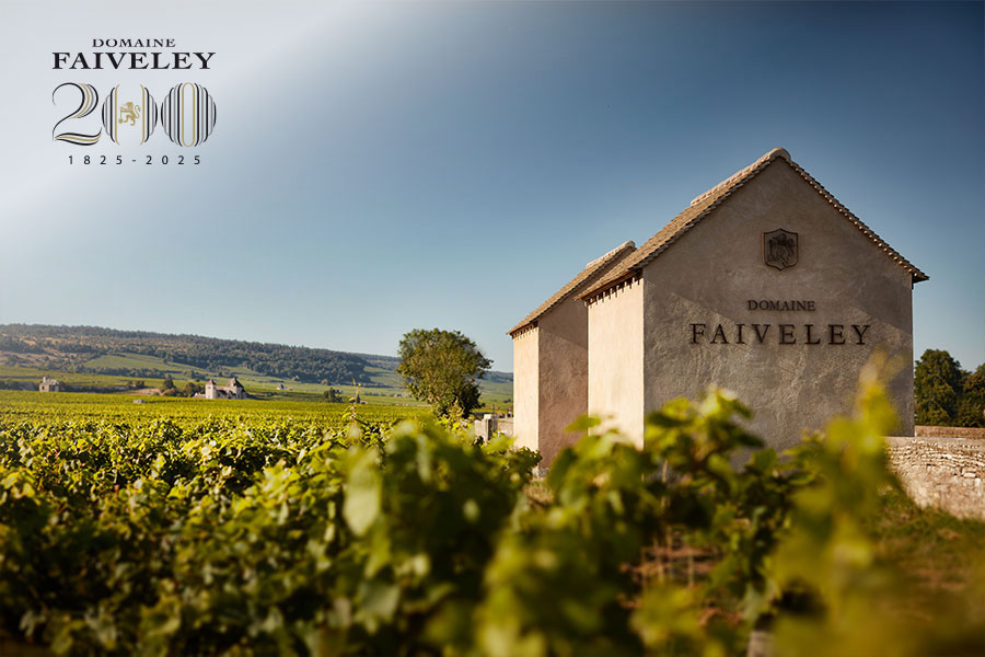 Domaine Faiveley - Biểu tượng của vùng rượu Bourgogne