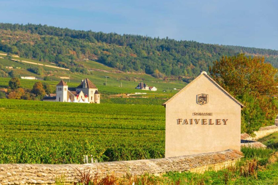 Domaine Faiveley - Viên ngọc quý của vùng rượu Bourgogne, Pháp