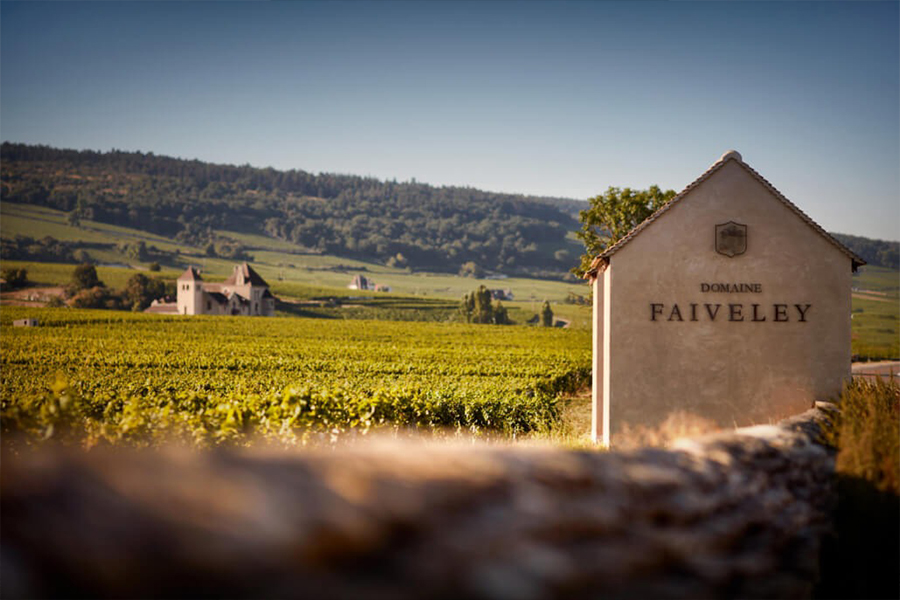 Domaine Faiveley là hiện thân tinh túy của rượu vang vùng Bourgogne, Pháp