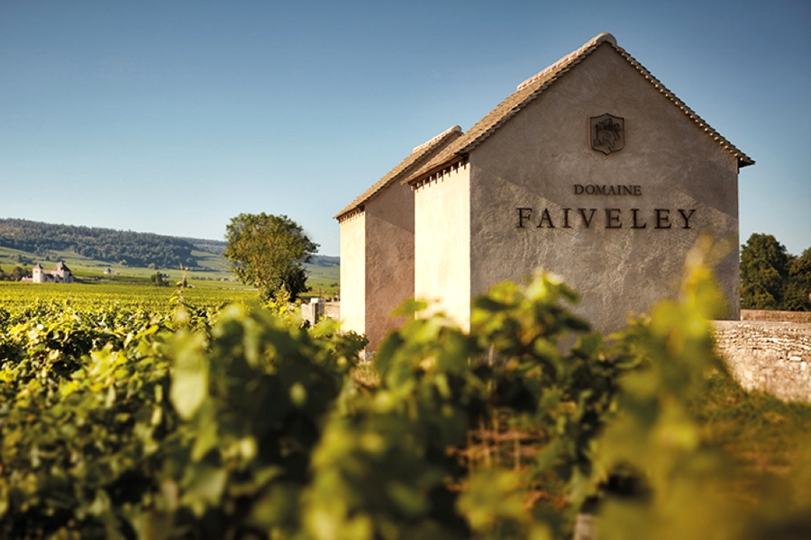 Domaine Faiveley - Biểu tượng rượu vang vùng Bourgogne, Pháp