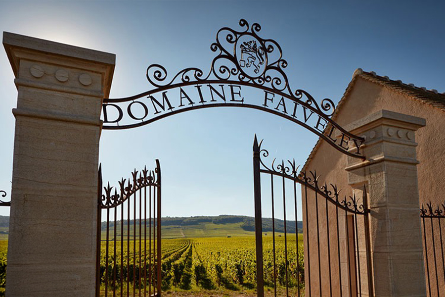Domaine Faiveley là một trong những tên tuổi nổi bật của vùng rượu Bourgogne, Pháp