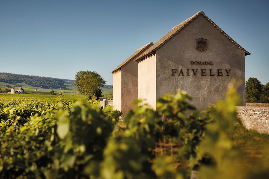 Domaine Faiveley - Biểu tượng cho chất lượng rượu vang vùng Bourgogne