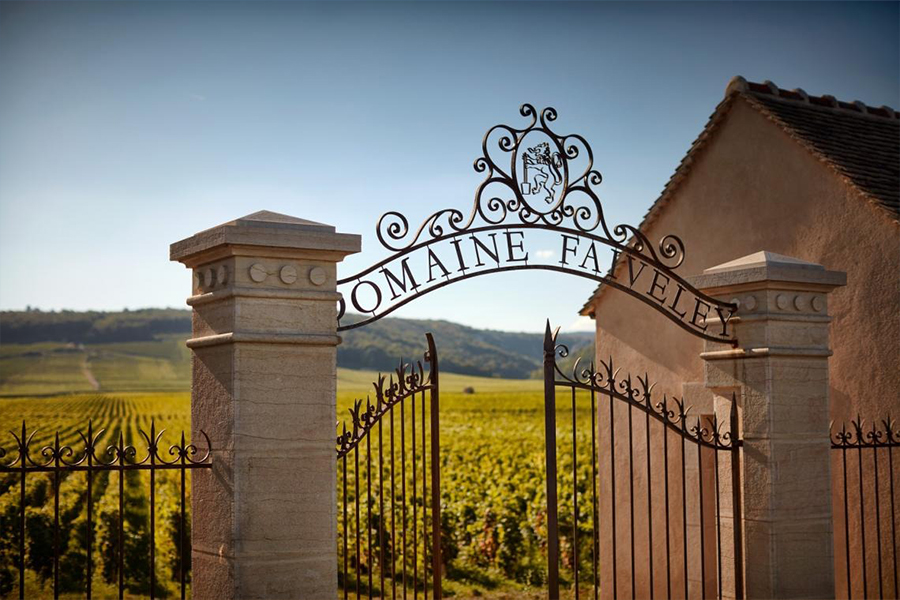 Domaine Faiveley - Biểu tượng của vùng rượu Bourgogne, Pháp
