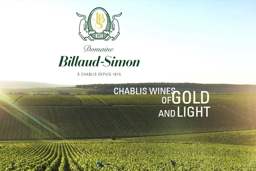 Domaine Billaud-Simon - Điền trang hơn 200 năm lịch sử của vùng Bourgogne