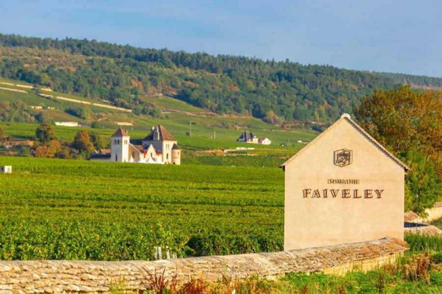 Domaine Faiveley - Biểu tượng rượu vang vùng Bourgogne, Pháp