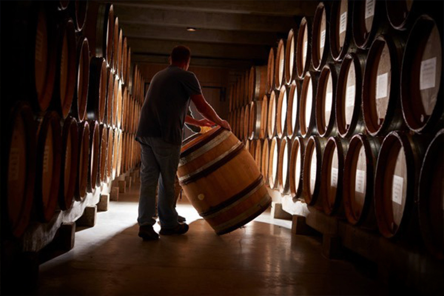 Domaine Faiveley duy trì triết lý làm rượu truyền thống kết hợp cùng công nghệ hiện đại