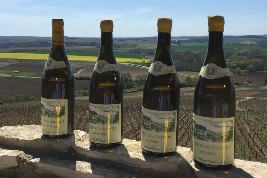 Dòng Grand Cru: Đỉnh cao của nghệ thuật làm vang