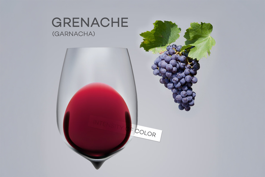 Phong cách rượu vang Grenache đặc trưng