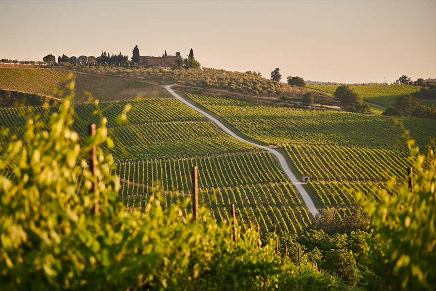 Tuscany - Vùng Rượu Vang Biểu Tượng Của Nước Ý