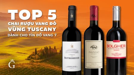 Top 5 Chai Rượu Vang Từ Vùng Tuscany Dành Cho Tín Đồ Vang Ý