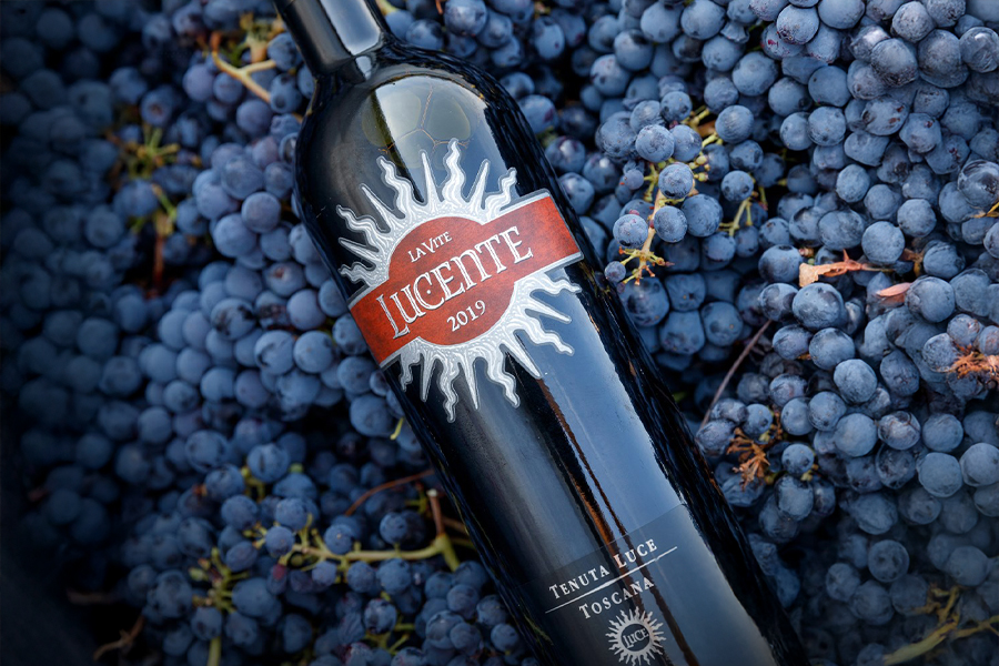 Luce La Vite Lucente