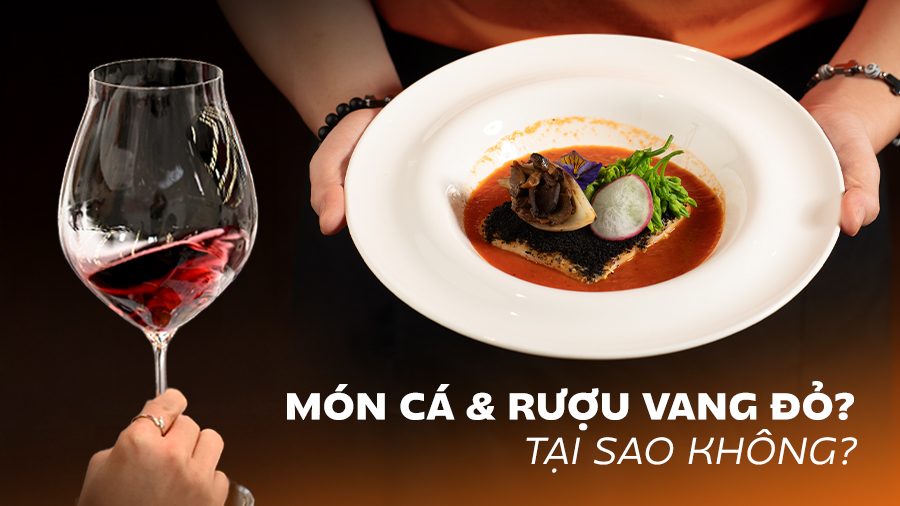 Bật Mí Dòng Vang Đỏ Pairing Hoàn Hảo Cùng Món Cá