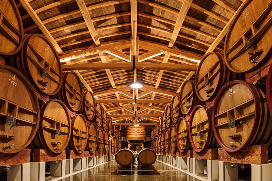 Hầm rượu vang của Château de Beaucastel